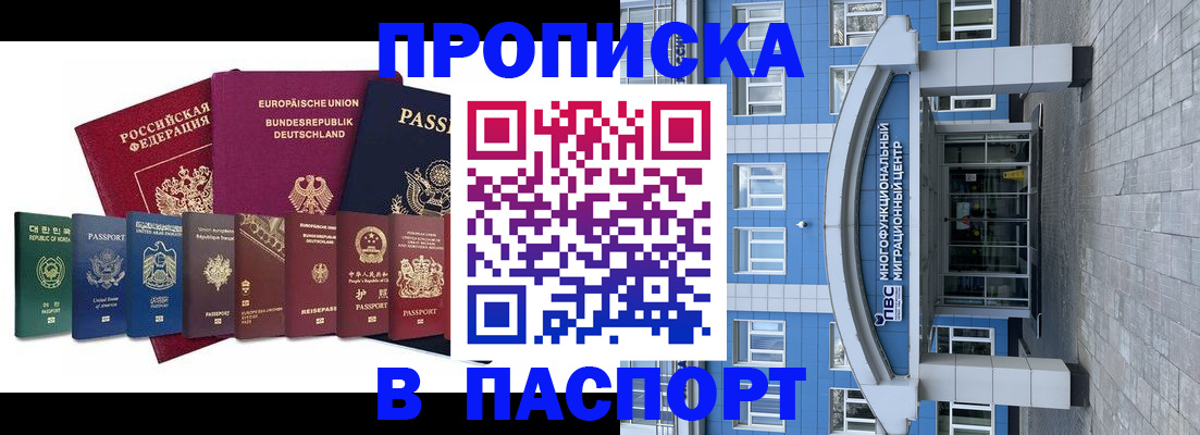 прописка штамп в Красноармейске